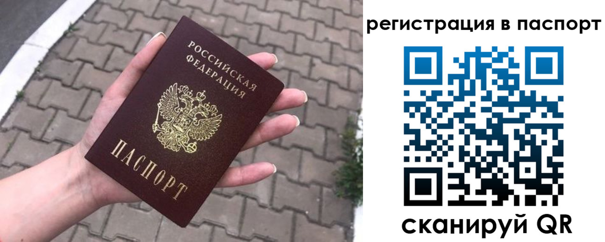 временная регистрация поиск в Амурской области